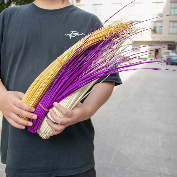 10 stk Farvede Strudsefjer Hårde Stænger 45-55cm Hovedbeklædning Hat Tilbehør Strudsefjer Quill Rygsøjler Diy Millinery wine red