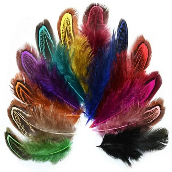 20/100 stk. Fasanfjer til håndværk DIY Marabou fjer smykkefremstilling Bryllupsdekoration pluma håndværk tilbehør 4-8 cm Natural feathers 100PCS