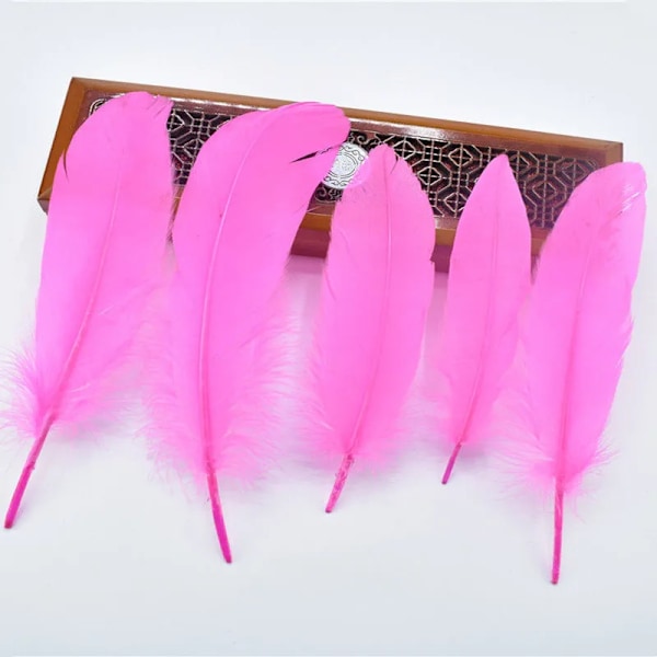 20 st hårda gåsfjädrar för bröllopsdekoration, bordsdekorationer, DIY-hantverk, drömfångare, hattar, plymtillbehör Dark Pink feathers 20pcs