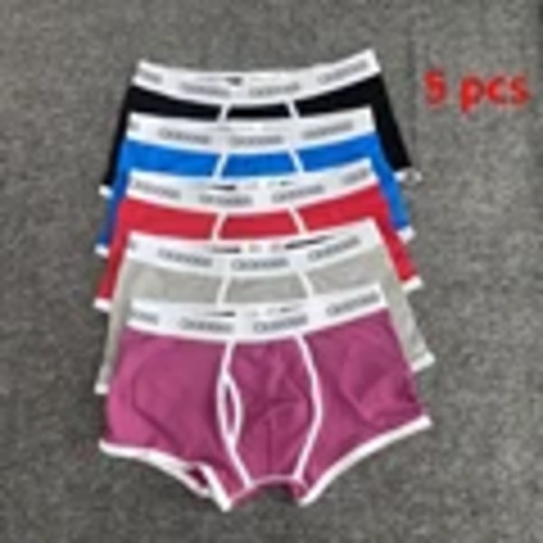 5 St/Lot Hot Sale Ceodogg 365 Män Manliga Underkläder Herr Boxer Underkläder Boxer Trunks Boxer Boxer Sho Sho Box Underkläder Sexiga Underkläder Män E L