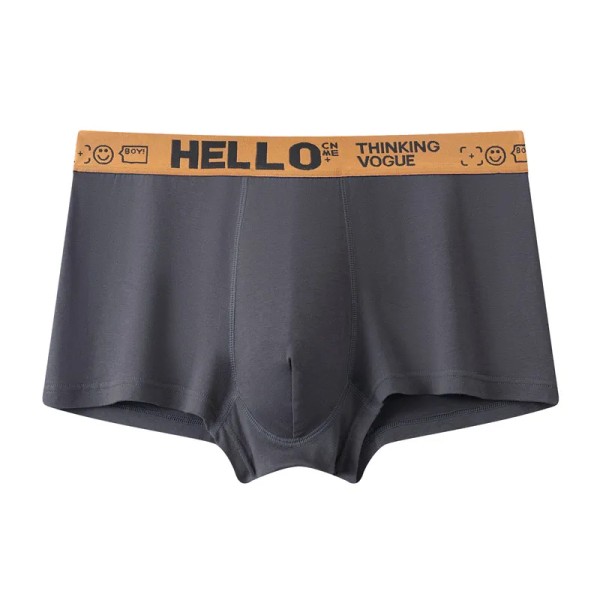 4st Herrunderkläder Herrboxare Sexiga kalsonger Bekväma Andas Mode Pojktrosor Underkläder Boxershorts Herr BR2 XXXL