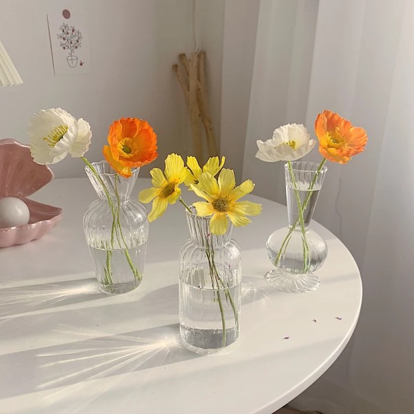 Gennemsigtige Glasvaser til Planteflaske Nordisk Blomstervase Hydroponisk Terrarium Beholder Blomst Bord Pot ваза для цветов Glass Vase S4