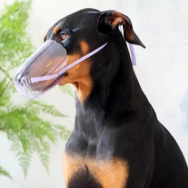 Pet Gozzle Husdjur Ansikte Skydd Hund Katt Grooming Gozzles Transparent Andas Pet Groomer Hjälper Verktyg För Medie Små Husdjur. M