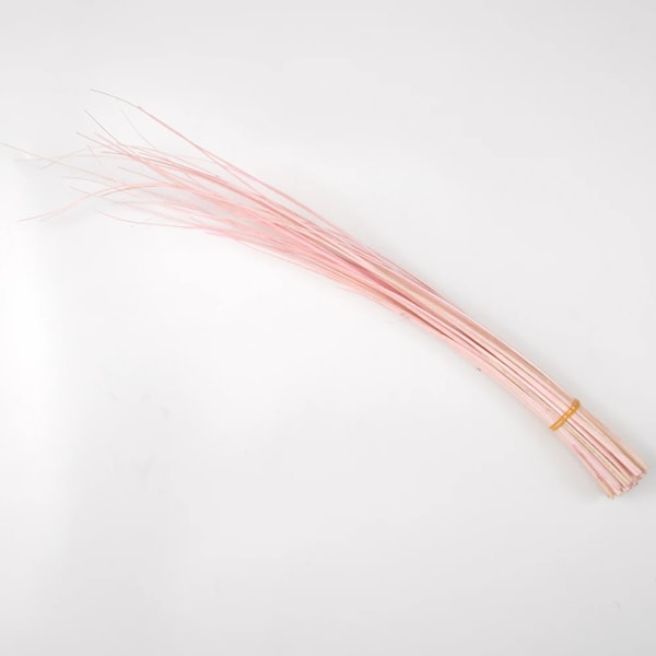 10 stk Farvede Strudsefjer Hårde Stænger 45-55cm Hovedbeklædning Hat Tilbehør Strudsefjer Quill Rygsøjler Diy Millinery pink