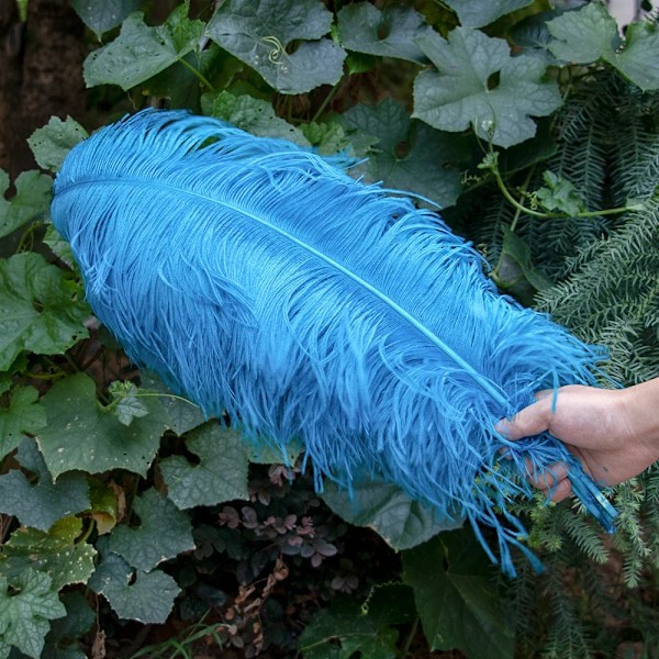 10 st/paket Naturliga Vita Strutspennor för Hantverk 15-45CM Bröllop Fest Dekoration Bordscentrum Karneval Plumas Deco Lake Blue 35-40 CM