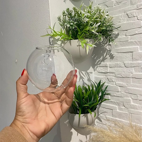 Transparent Væghængt Vase Halvcirkelformet Hydroponisk Vase Fiskekumme Potteplante Blomst Pot Vægdekoration Kontor 10CM