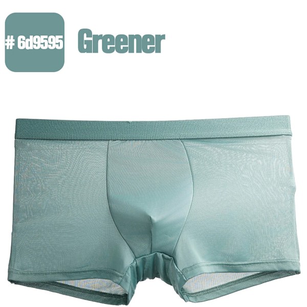 2024 Hot Summer Cool Ice Silk Boxers Trosor Mænd Åndbar Bløde Shorts Mænd Sexede Underbukser Undertøj L 6Xl Overstørrelser Green XXL