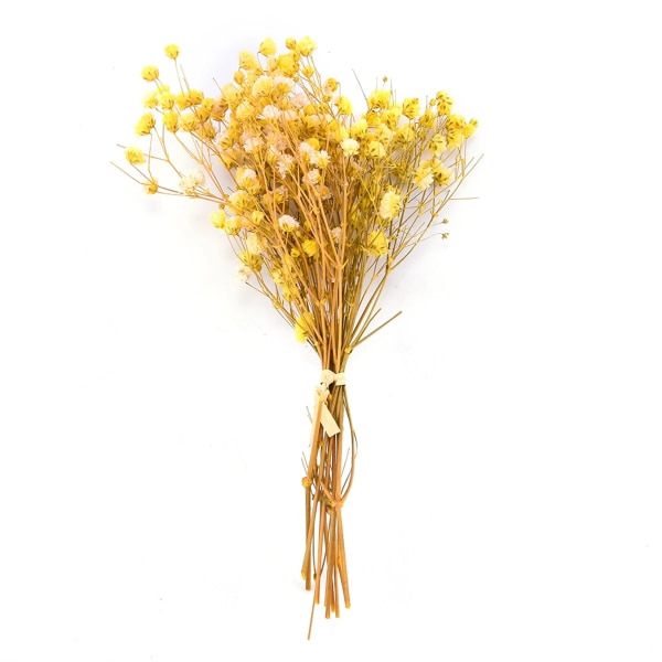 Enkel konstgjord Gypsophila naturtrogen kreativ falska torkade blommor Enkel naturlig DIY Babysbreath bukett yellow