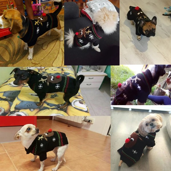 Vinter Hundkläder Jullovströja Chihuahua Teddy Outfit kappa för Liten Medium Stor Hund och Katt Höstvarm Green Bell L