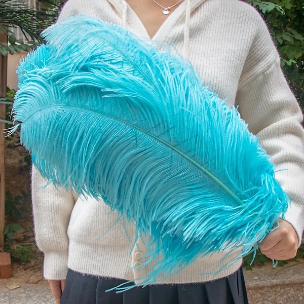 10 stk/sæt Fluffy Strudsefjer Hvide Strudsefjer 15-55CM Bryllupsbord Midtpunkter Fest Karneval Fjer Dekoration Sky blue 50-55cm 20-22inch