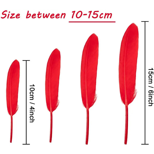 10-15CM Naturliga Gässfjädrar för Hantverk 50st Smycken Tillbehör Dekoration Färgade Fjädrar Mintgrön Dekor Grossist champagne