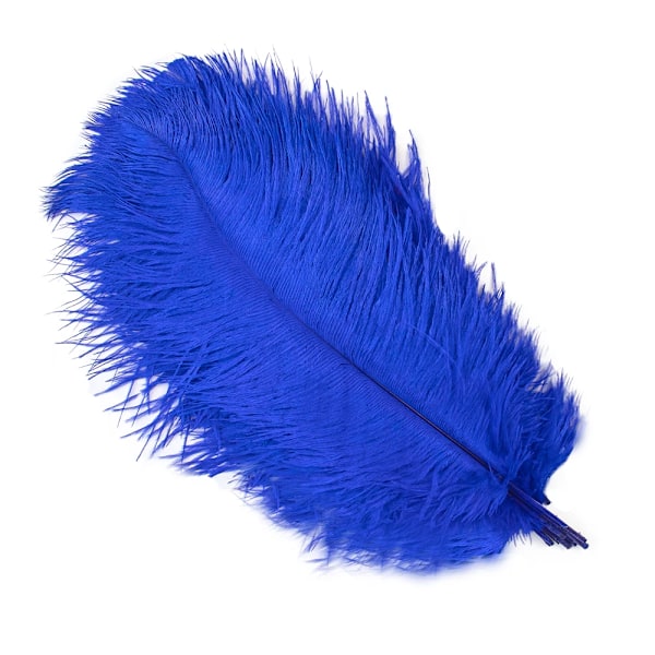 10 stk./sæt Nye Farvede Strudsefjer til Håndværk Bryllupsdekoration DIY Ferie Karneval Bryllup Plumas Engros Tilbehør 15-40CM Royal blue 30-35CM