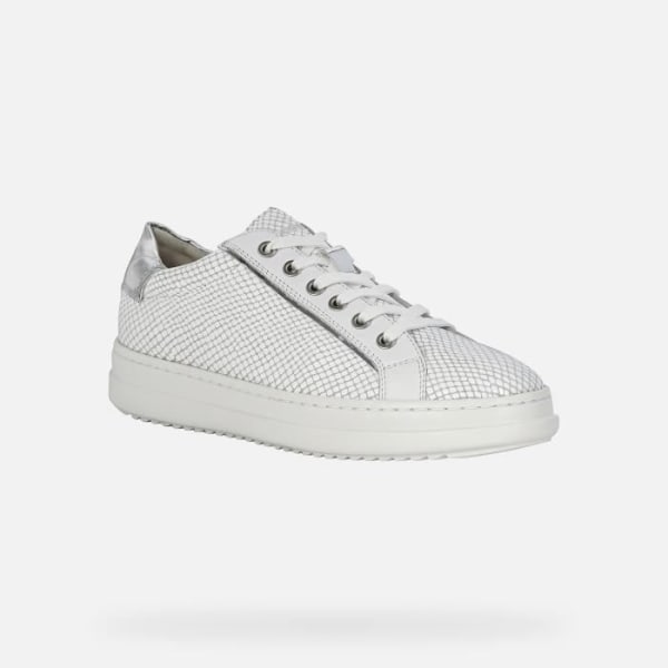 Låga sneakers för kvinnor - GEOX - Pontoise - Läder - Vit - Platta - Snören vitt och silver 36