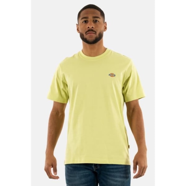 Dickies mapleton t-shirt h141 ljusgrön