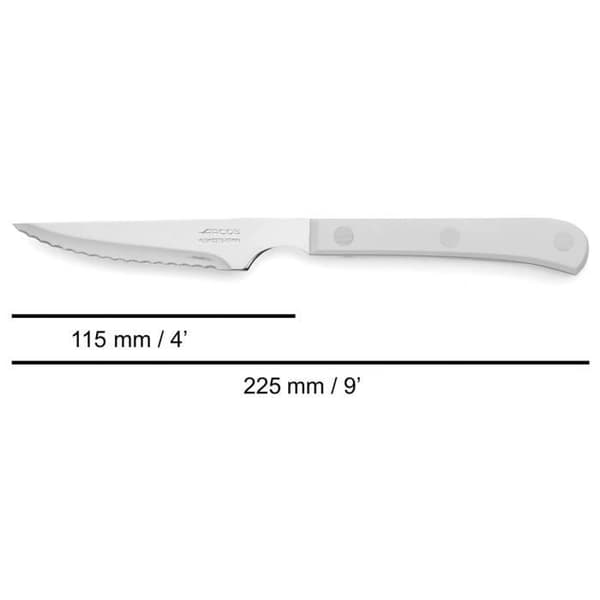 Bøfknive - ARCOS - Steak Basic - Rustfrit stål - Hvid polyoxymethylen - 115/225 mm
