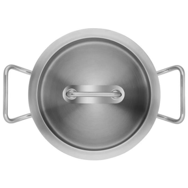 ZWILLING Pro - High Stockpot, jossa lasikansi (24 cm) - ruostumatonta terästä