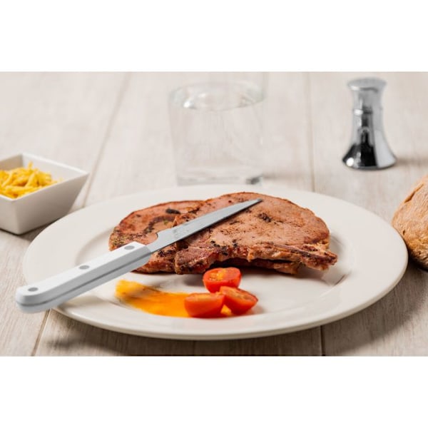 Bøfknive - ARCOS - Steak Basic - Rustfrit stål - Hvid polyoxymethylen - 115/225 mm