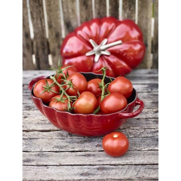 STAUB 405117740 Tomat Cocotte - 25 cm - Körsbär