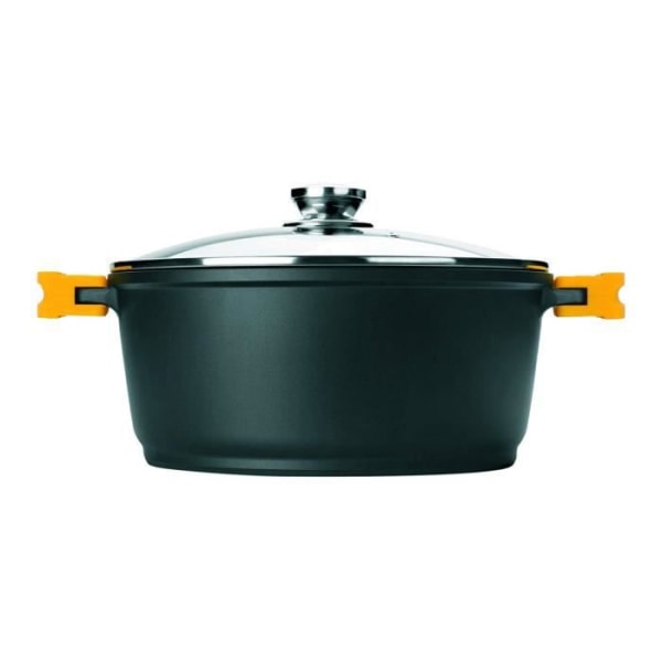 IBILI Evolution kastrull i gjuten aluminium, glaslock och silikonhandtag, 28 cm, Non-stick, Induktionskompatibel