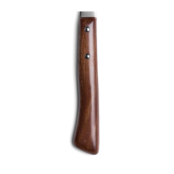 Bordgaffel - ARCOS - 804100 - 18/10 rustfrit stål - Nylonklinge - 9 cm