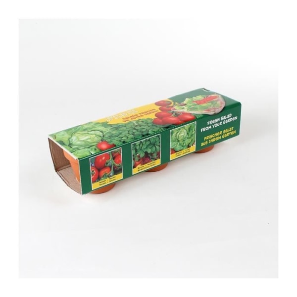 Kit med 3 terrakottakrukor för sallad och tomatplantor - Astuceo 1 cm Multicolor