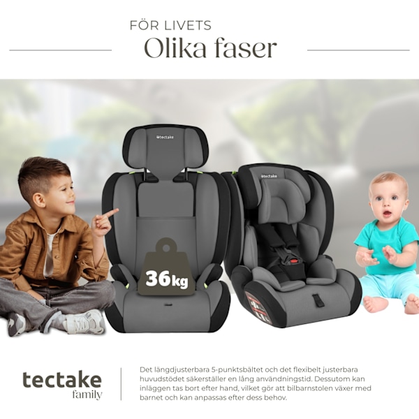 tectake Bilbarnstol Sophie med sidokrockskydd Mörkgrå