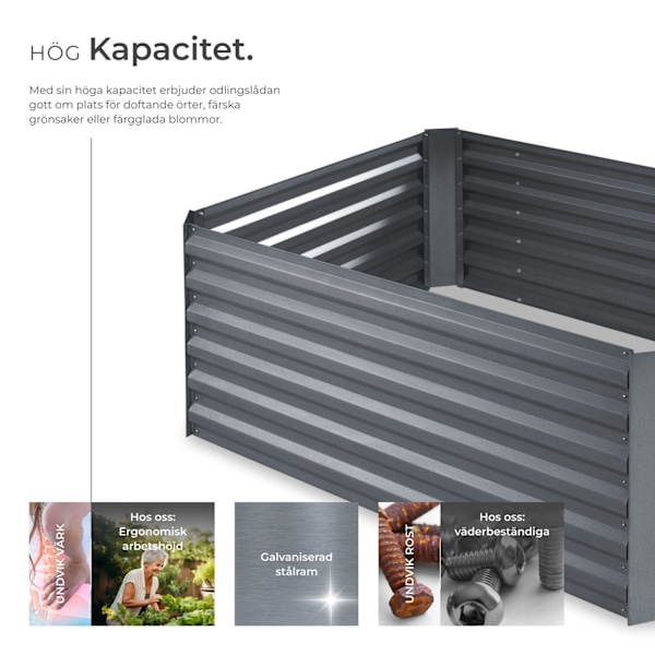 tectake Upphöjd odlingsbädd Salvia galvaniserad Silver