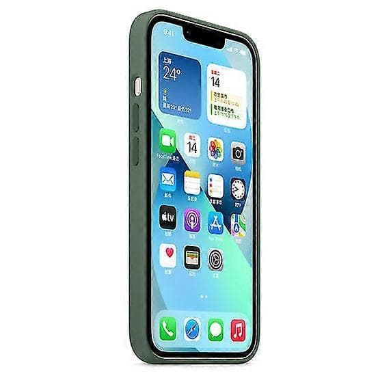 Silikonikuori Magsafella iPhone 13 Minille Eucalyptus
