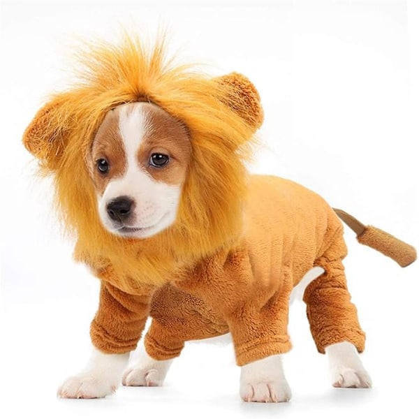 Hunde løve kostyme kjæledyr klær for fest Simulering løve kjæledyr antrekk Cosplay løve hettegenser katt kostyme til fest
