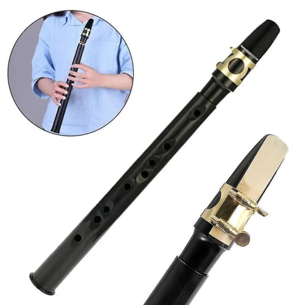Pocket Sax Mini Bærbar Saxofon C-nøkkel Liten Saxophone Med Bæreveske