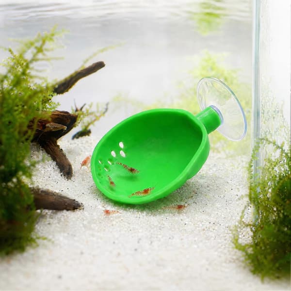 Fiskakvarium Skalgömma – Bekväm Konkav Design – för Betta Lek 8pcs