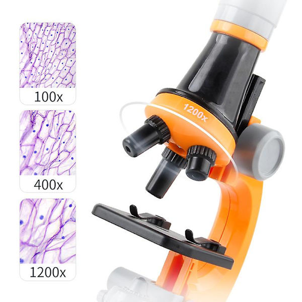 Lasten mikroskooppilelut Tieteelliset mikroskooppilelut, Lasten ja oppilaiden biologiset mikroskooppilelut Orange