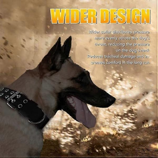 Justerbart hundehalsbånd - ATYHAO - Slitesterk nylon - Solid spenne - Pustende og lett