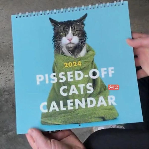 2024 Pissed-off Cats-kalender,veggkalender, 12 måneders kalenderplanlegger Daglig arrangør, morsom gave til katteelskere