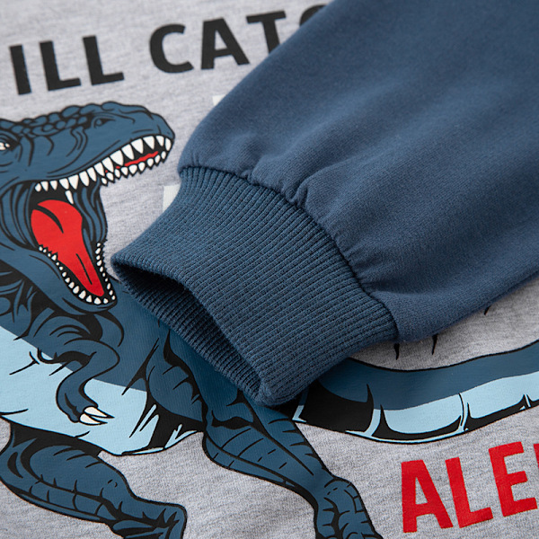Höst barn tecknad dinosaurie mönster färg matchande ärm topp för pojkar baby ytterkläder bomull sweatshirt-100cm 100cm