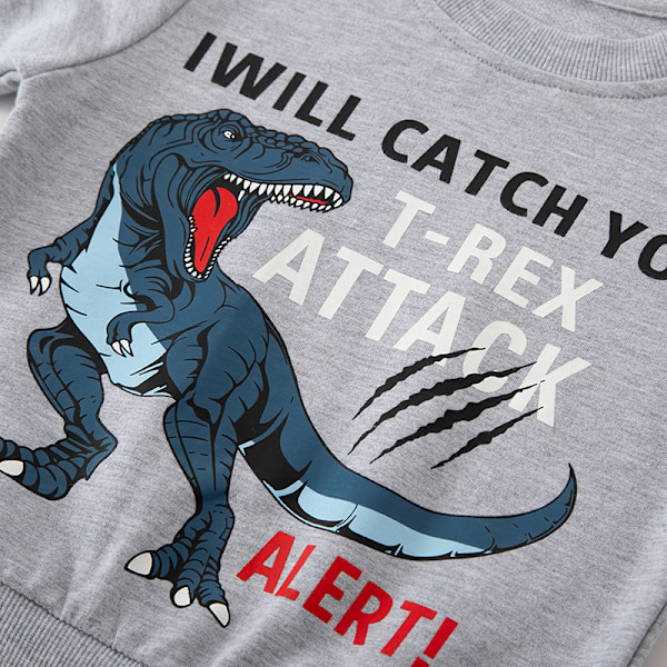 Höst barn tecknad dinosaurie mönster färg matchande ärm topp för pojkar baby ytterkläder bomull sweatshirt-100cm 100cm