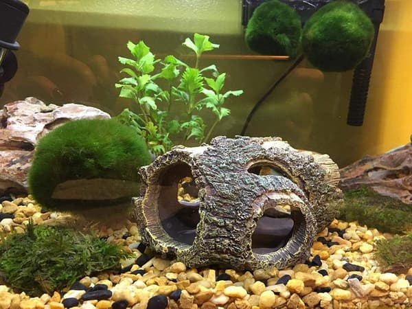 Dekorasjon Akvarium Rot Resin, Grotte Tre Akvarium Dek