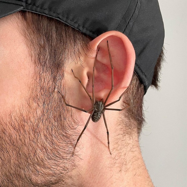 Gadgets Voor Thuis The Giant Spider Earring Giant Spider EarringsDame Jenter Juleøreringer, Spider Earringer Interessant Spider Christmas Decora