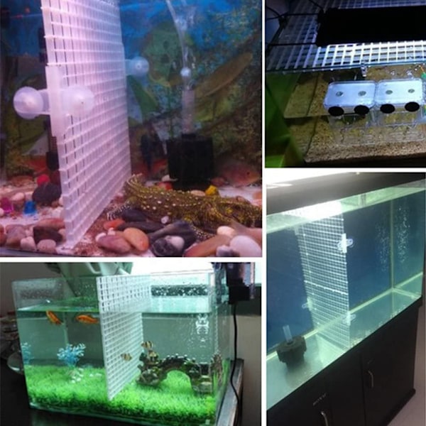 Akvarium Deler Separator, Sucker Holders For Fish Tank, Glass Cover Separator, Clip Holder, 40 stk