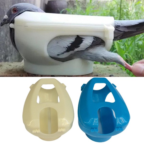 Naievear Praktisk dueholder Faldsikkert plast hul let installation duer med fast ramme foderforsyninger Blue