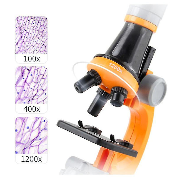 Lasten mikroskooppilelut Tieteelliset mikroskooppilelut, Lasten ja oppilaiden biologiset mikroskooppilelut Orange