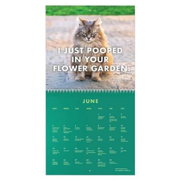 2024 Pissed-off Cats Calendar, Wall Calendar, 12 Months Calendar Planner Daglig organizer, rolig present till kattälskare