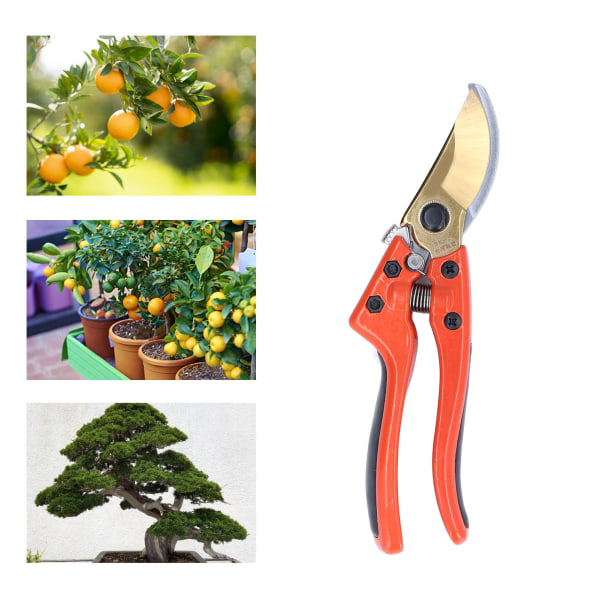 Beskärningssax Spetsig fruktgrensax Trädgårdsväxtbeskärningssax för jordbruksgård