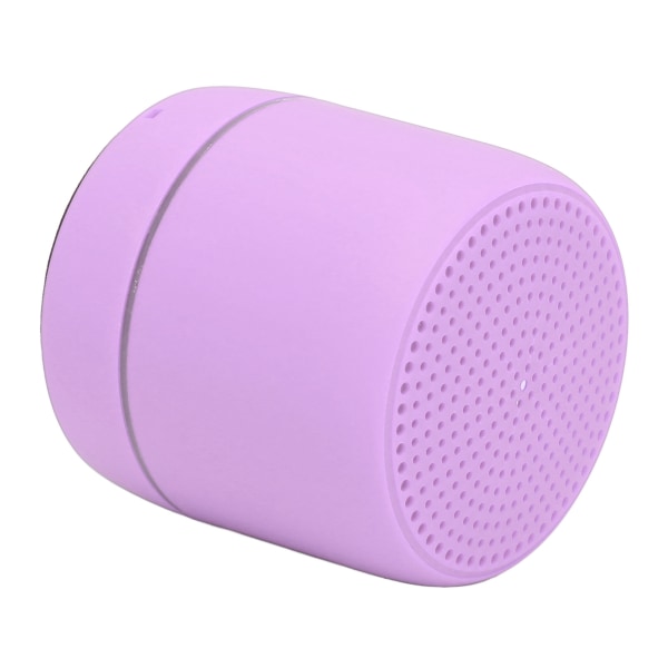 Bluetooth5.0 Mini-högtalare Klar Stereo Rich Bass Bärbar trådlös högtalare för OutdoorPurple
