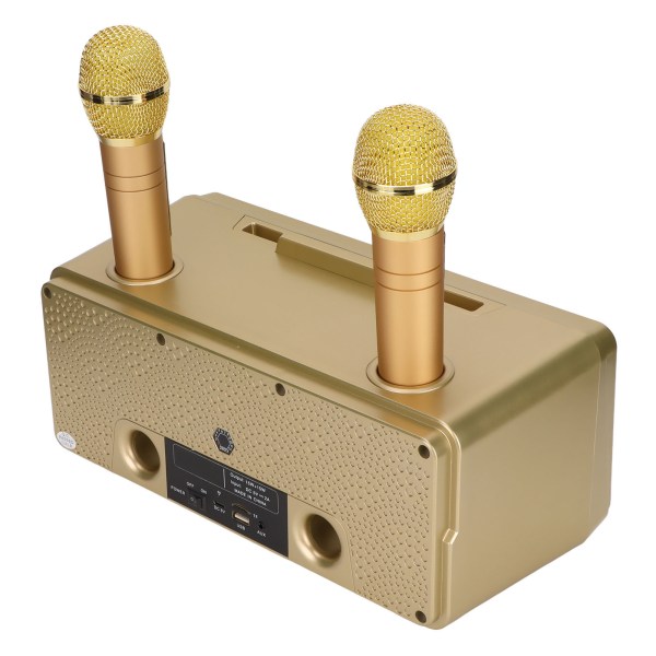 SD-309 Bluetooth -högtalare fallbeständig 100Hz till 18KHz 10m/32.8ft karaokemaskin med 2 trådlösa mikrofoner