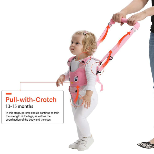 Håndholdt gåsele for barn, justerbar gåassistent for småbarn med avtakbart skritt, sikker stående og gå læringshjelp for 8+ måneder