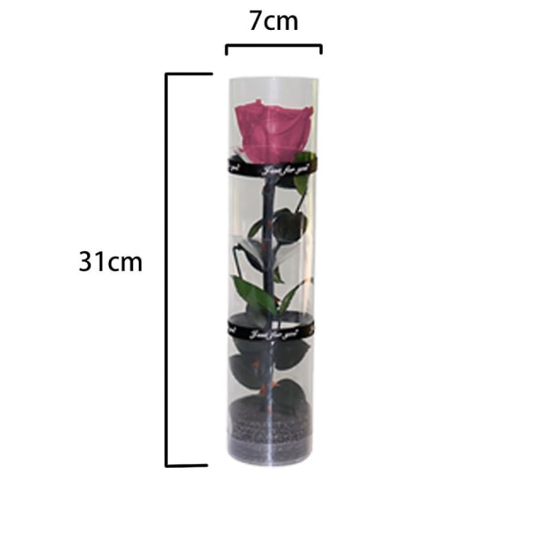 A Real Preserved Rose, Everlasting Rose, Durable Rose, Eternal Flowering Rose Sweet Pink