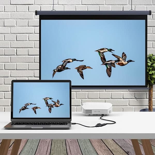 Dobbel skjermsplitter, svart HDMI dobbeladapter, HDMI-splitter