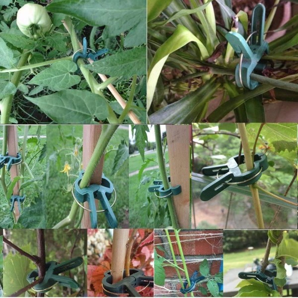 100 kpl Puutarhan kasvipidikkeitä Uudelleenkäytettävät kasvihuoneen puutarhanhoitoa tukevat kasvipidikkeet kukkapenkkiin Viiniköynnösvihannekset Tomaatit Varret (2 kokoa)
