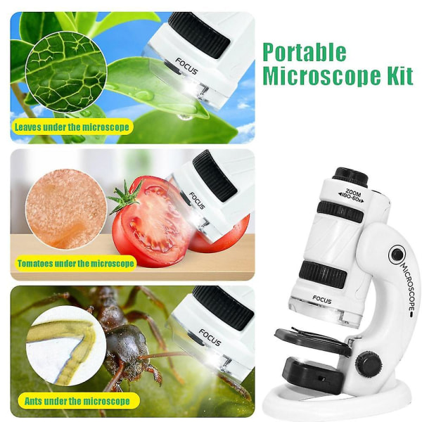 Mikroskopleksaker för barn Utomhus bärbara mikroskopstammar Science Kit för barn Green